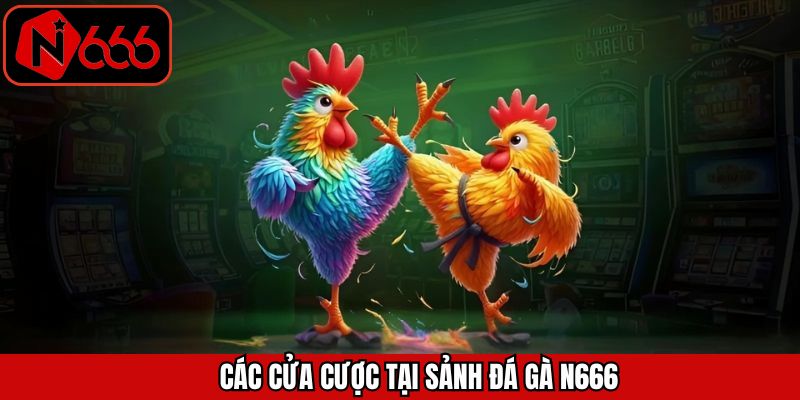 Tổng hợp các cửa cược phổ biến trong sảnh cược đá gà N666