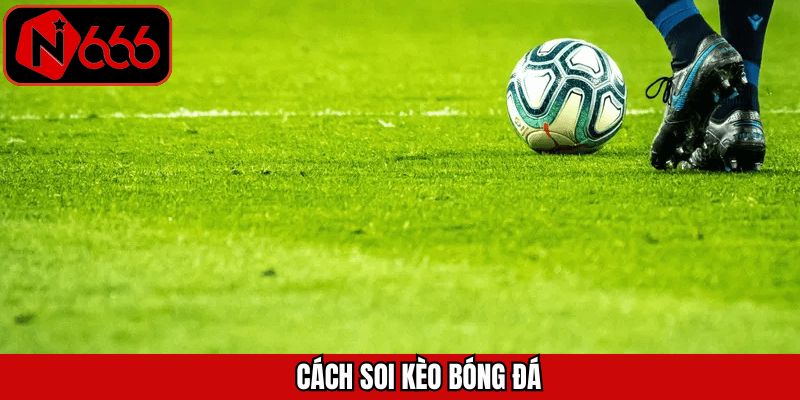 Cách Soi Kèo Bóng Đá - Bật Mí Bí Quyết Giúp Tăng Cơ Hội Thắng