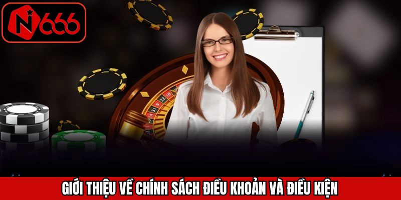 Thông tin tổng quan cần biết về chính sách điều khoản điều kiện
