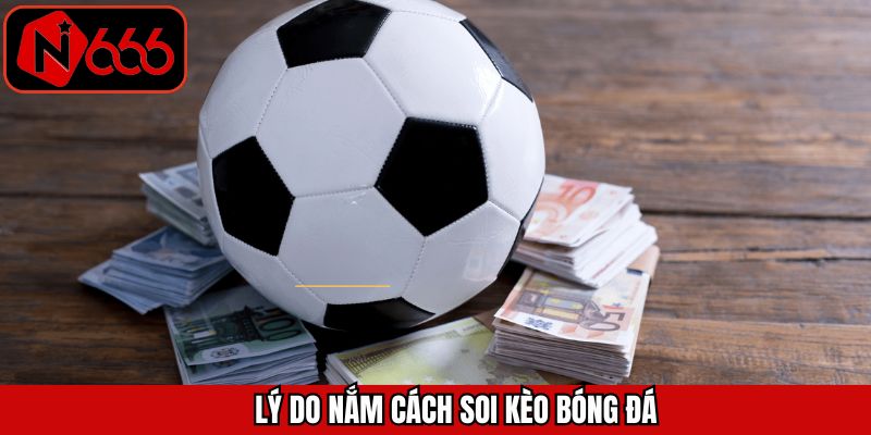 Lợi ích của việc nắm rõ cách soi kèo khi cá cược bóng đá