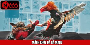 Mánh Khóe Đá Gà Mạng – Vũ Khí Giúp Nắm Chắc Phần Chiến Thắng