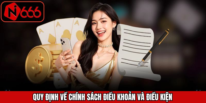 Những quy định quan trọng được đề ra trong chính sách tại N666