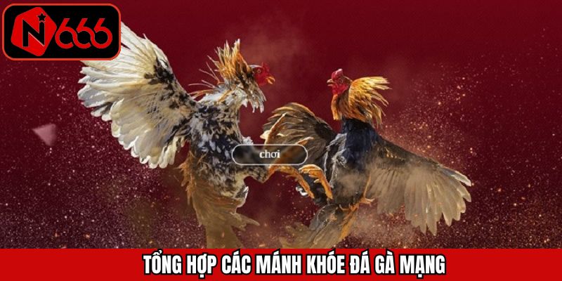 Các mánh khóe đá gà mạng hiệu quả mà cao thủ thường áp dụng