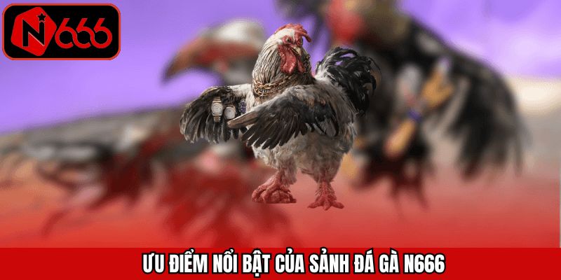 Những ưu điểm vượt trội trong sảnh cược đá gà tại N666